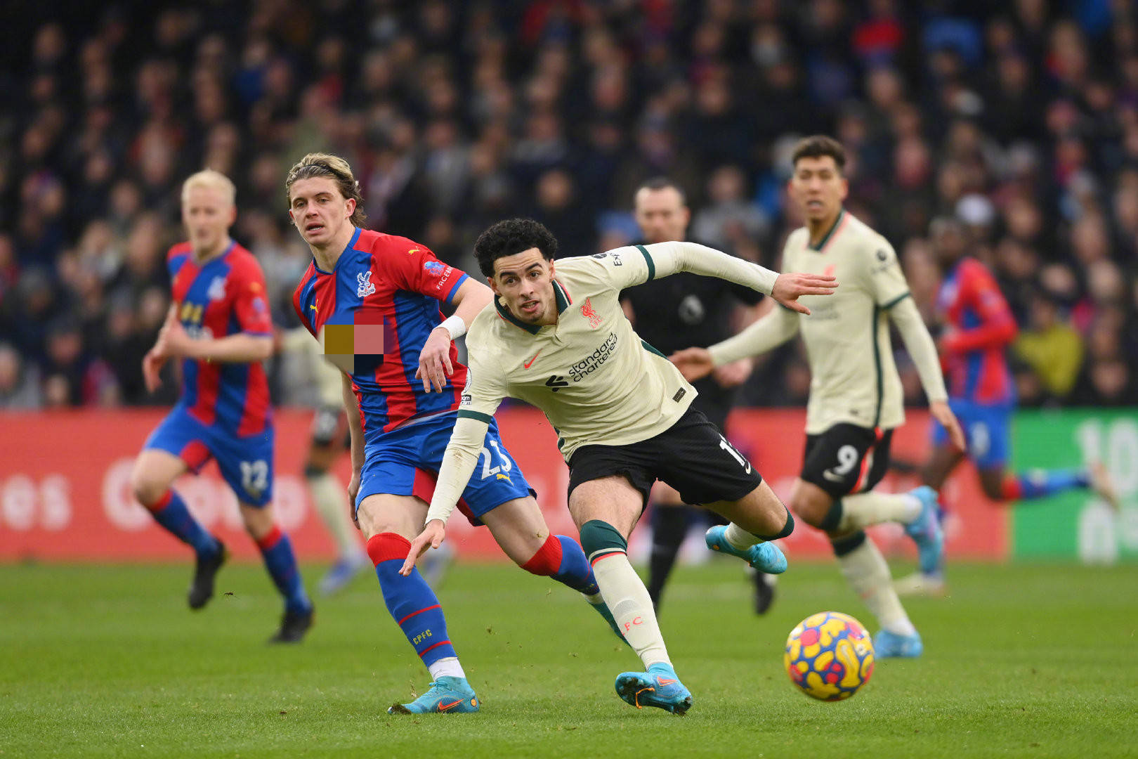 人文交流 人文交流